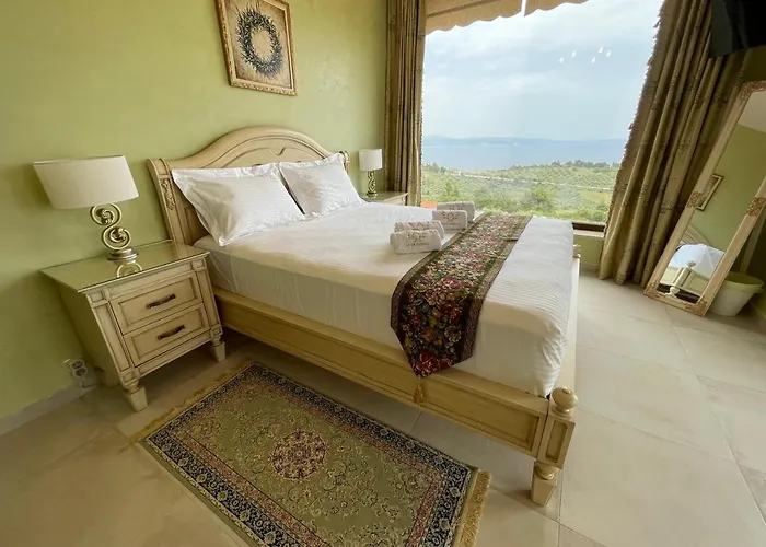 Aurelia * Agios Nikolaos (Chalkidiki)