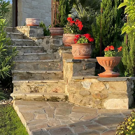 Aurelia * Agios Nikolaos (Chalkidiki)