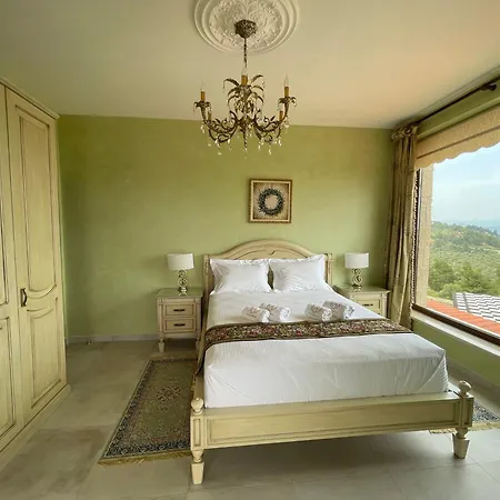 Aurelia Agios Nikolaos (Chalkidiki)