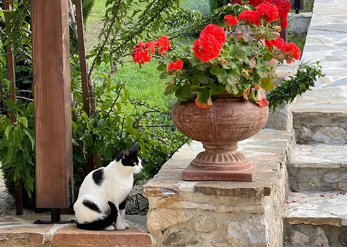Aurelia Villa