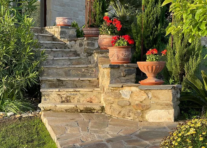 Aurelia * Agios Nikolaos (Chalkidiki)